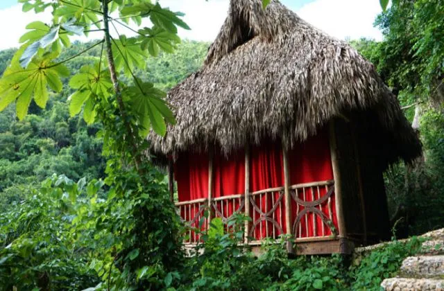 Coffee Tree Cabin Tree House Dominican Village 2